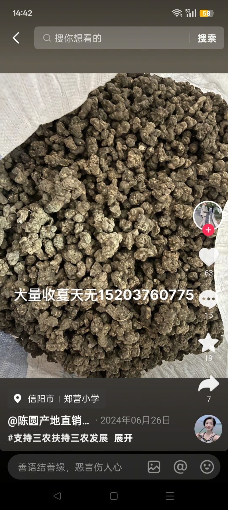 精品大个夏天无货源稳定价格美丽诚信合作欢迎来电