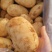 【实力供货】内蒙v7土豆内蒙土豆基地直供量大从优