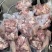 【熟牛头肉】