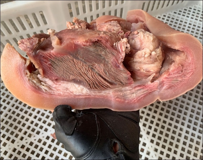 【熟牛头肉】