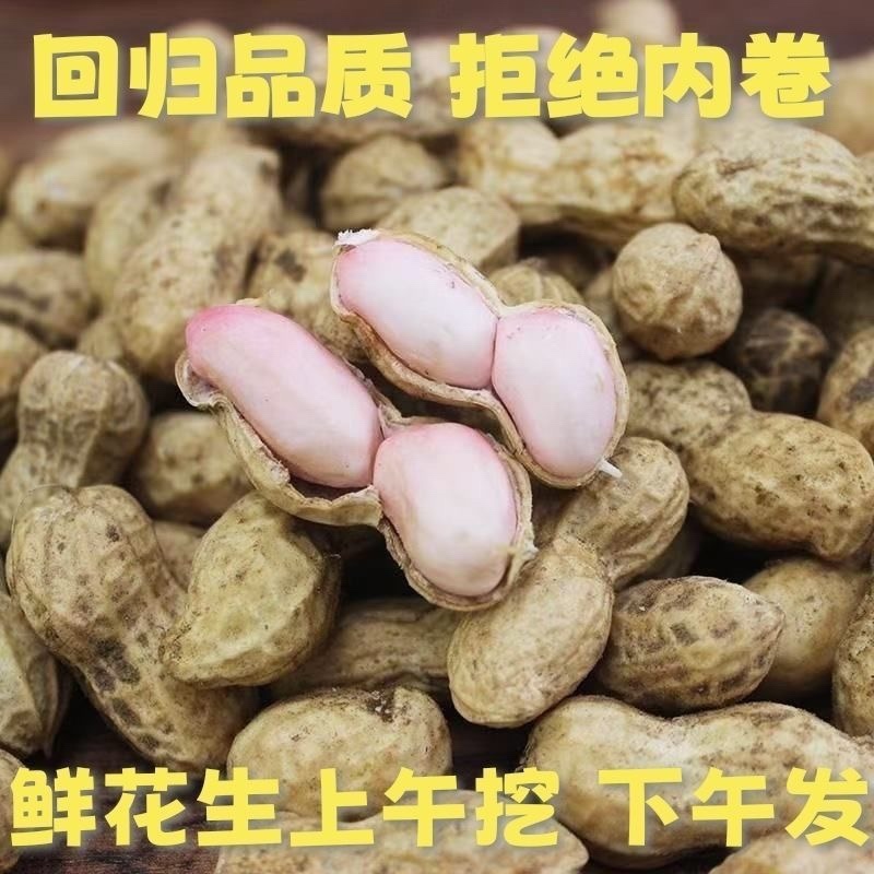 【鲜花生】餐馆小摊菜市场，市场商超批发