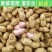 【鲜花生】餐馆小摊菜市场，市场商超批发