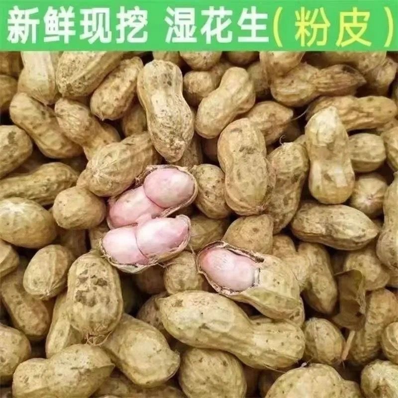 【鲜花生】餐馆小摊菜市场，市场商超批发