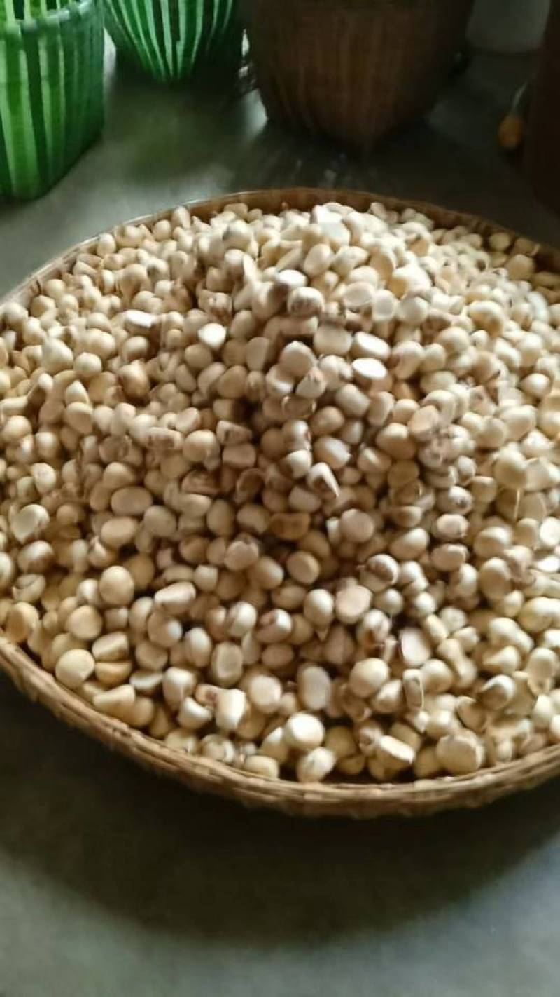 板栗（***********）