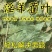 野生淫羊藿陕西产地淫羊藿正宗仙灵脾三枝九叶草