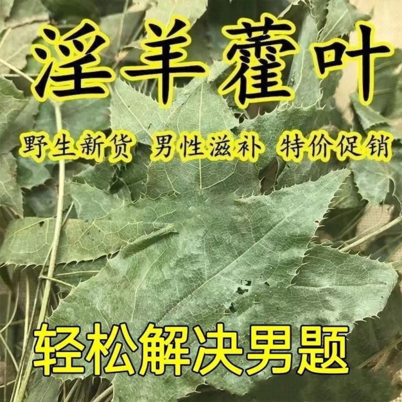 野生淫羊藿陕西产地淫羊藿正宗仙灵脾三枝九叶草