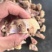火烧毛猪蹄块