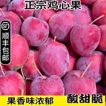 鸡心果