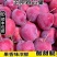 鸡心果
