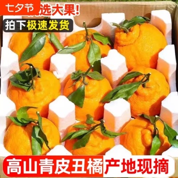 丑橘