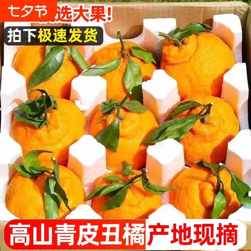 丑橘