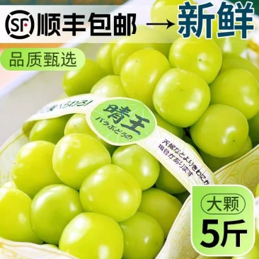 晴王