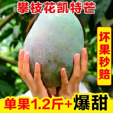 特大芒果