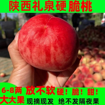 脆桃