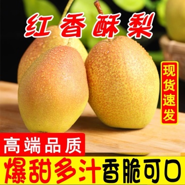 酥梨