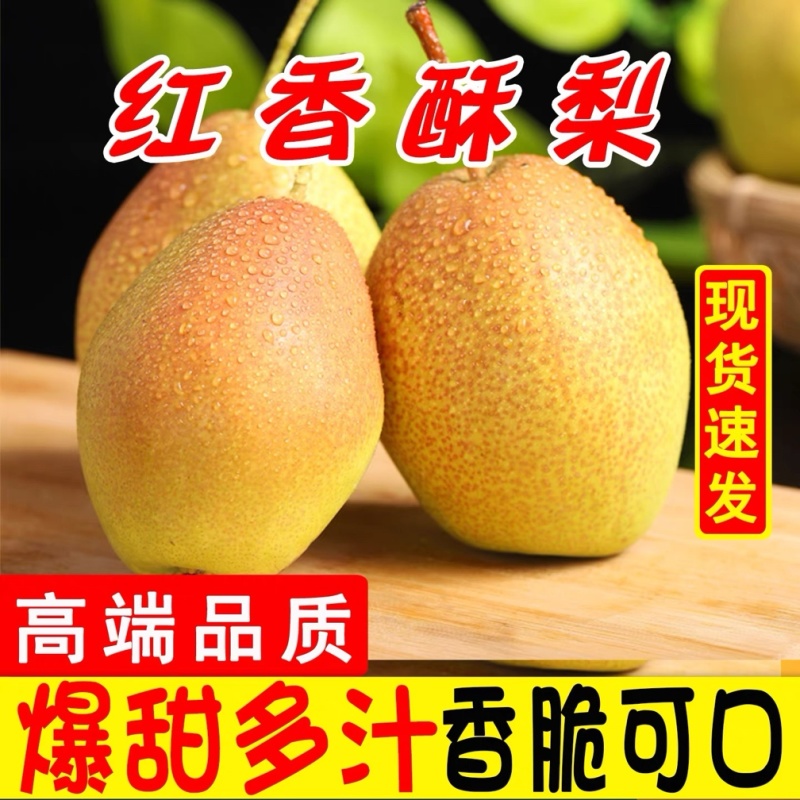 酥梨