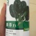 墨菲菠菜种子抗病耐热耐寒一代杂交圆叶400g基地品种