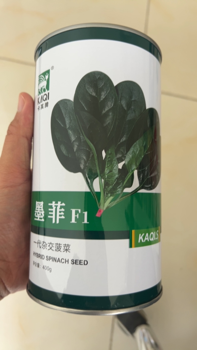 墨菲菠菜种子抗病耐热耐寒一代杂交圆叶400g基地品种