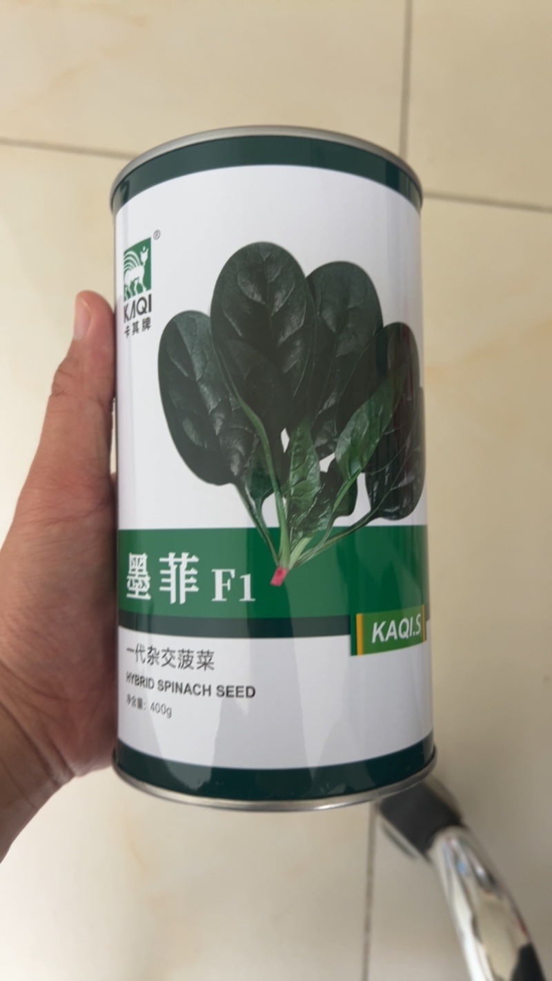 墨菲菠菜种子抗病耐热耐寒一代杂交圆叶400g基地品种