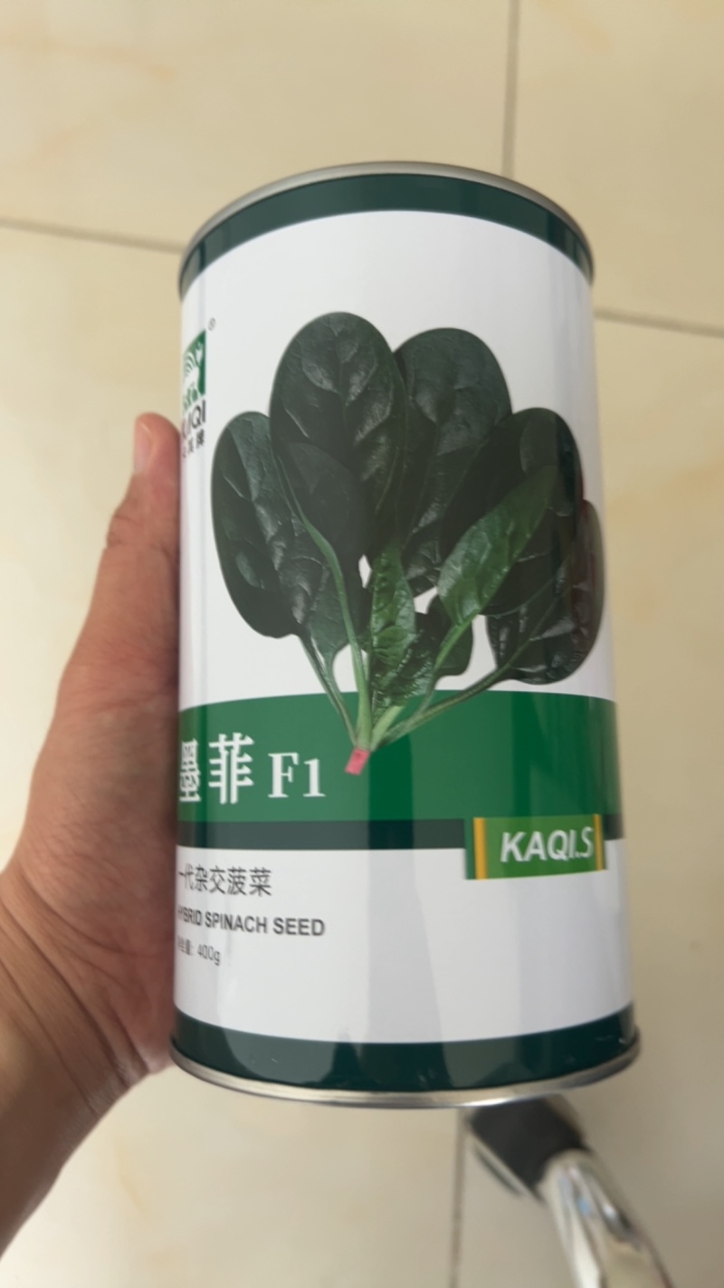 墨菲菠菜种子抗病耐热耐寒一代杂交圆叶400g基地品种