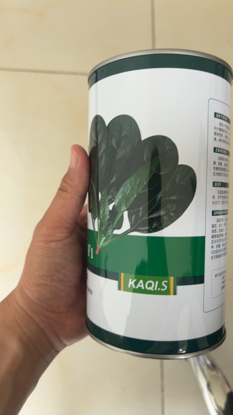 墨菲菠菜种子抗病耐热耐寒一代杂交圆叶400g基地品种