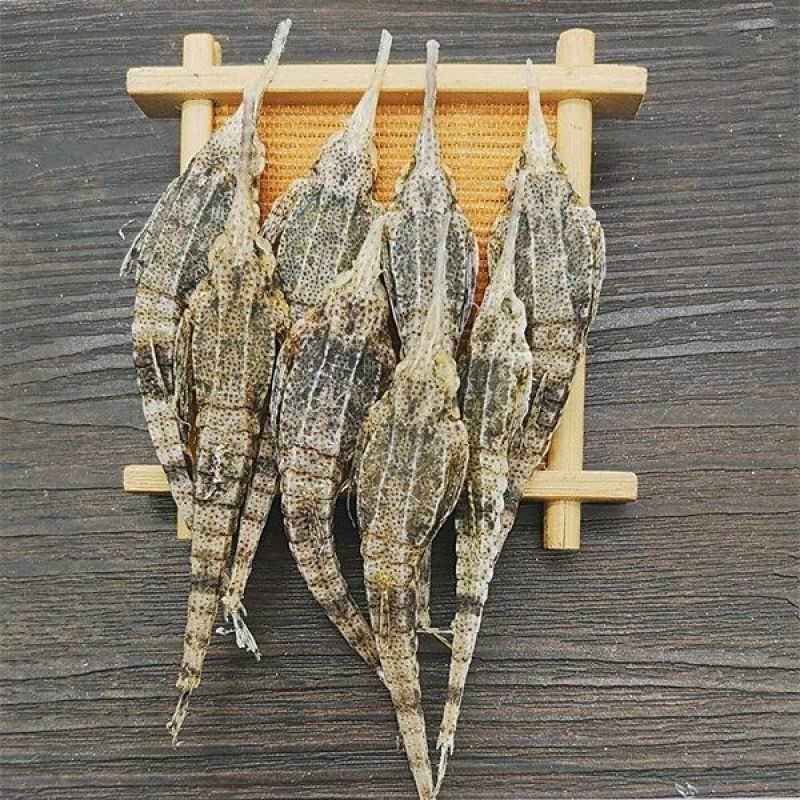 正宗海麻雀海燕子海燕海味产品药材