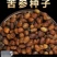 2025年新产苦参种子都是自己一手采摘回来的！颗粒饱满