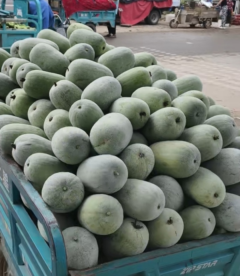 冬瓜**便宜