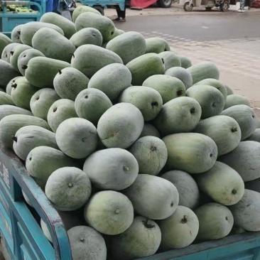 冬瓜**便宜