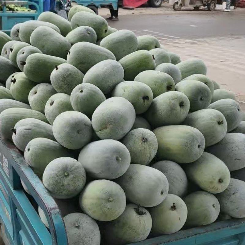 冬瓜**便宜