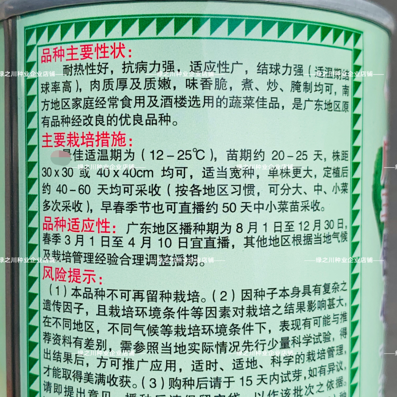 广东包心大芥菜种子肉包芥菜腌制种籽酸菜早熟耐热包心苦菜种