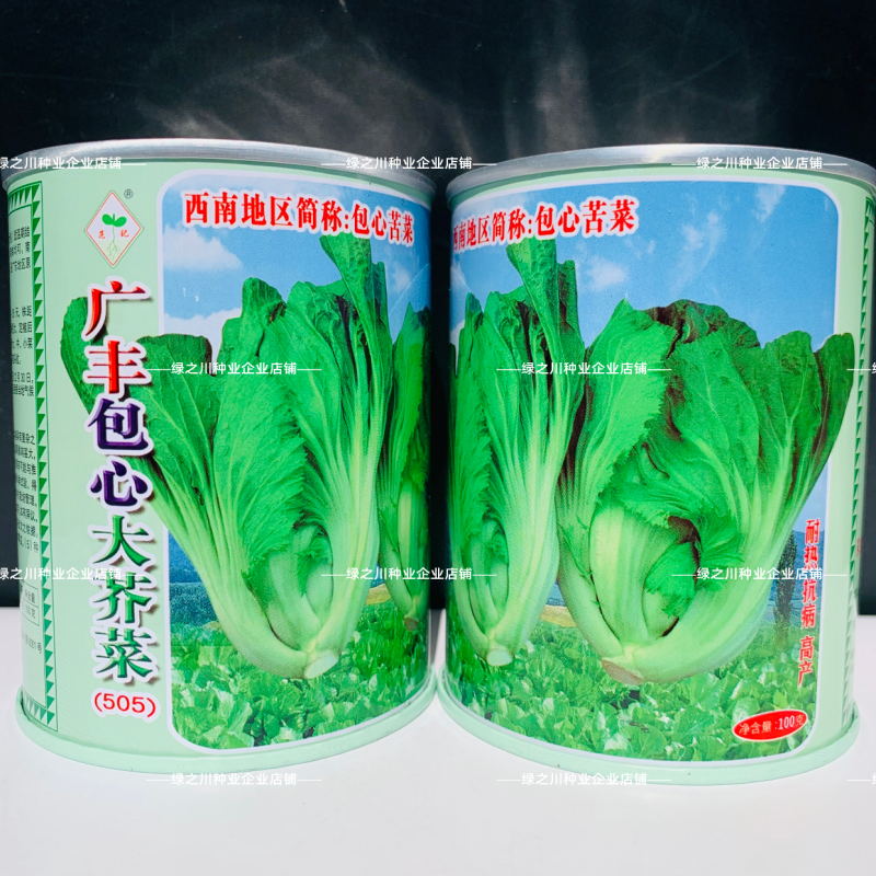 广东包心大芥菜种子肉包芥菜腌制种籽酸菜早熟耐热包心苦菜种