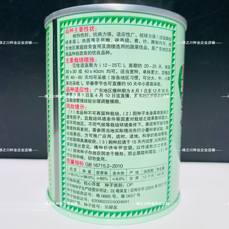 广东包心大芥菜种子肉包芥菜腌制种籽酸菜早熟耐热包心苦菜种