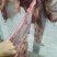 深圳鲜牛肉批发
