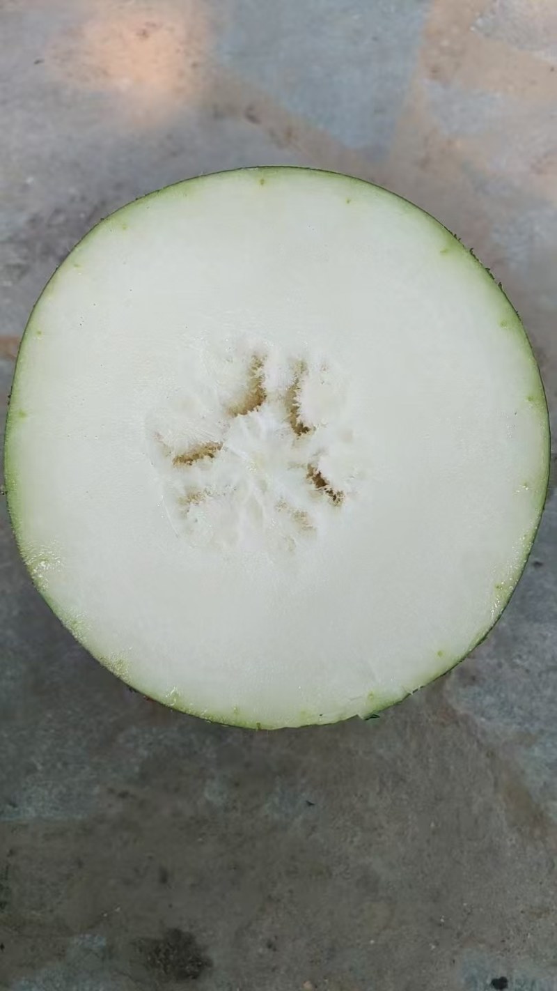 吊冬瓜