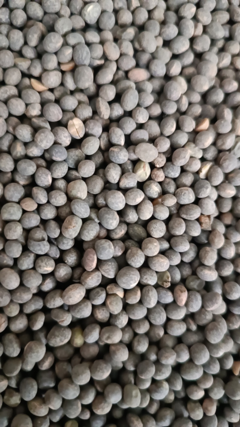 豌豆