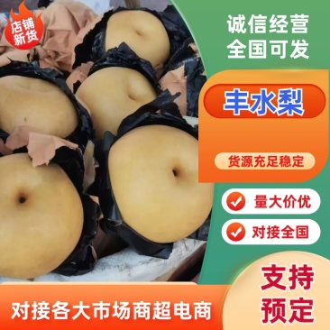 城固梨-黄梨新鲜梨套袋丰水梨果面干净产地直发对接全国市场