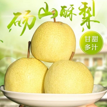 砀山正宗酥梨