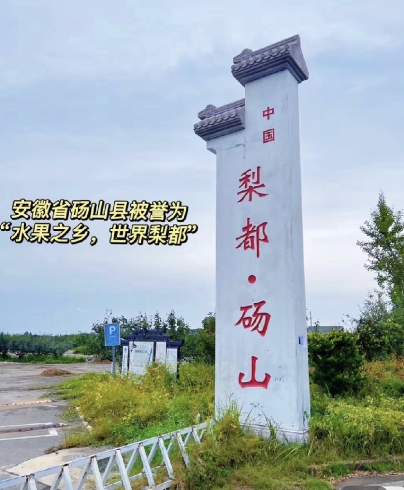 砀山酥梨，对接批发市场档口电商，保质保量，价格可谈，欢迎咨询