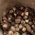 临沂芋头大小规格都有干净土少完整无机械伤加工批发电商团购都做