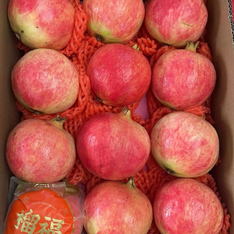会理石榴