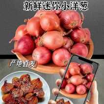 小米葱小毛葱小香葱小洋葱全年有货，欢迎来电