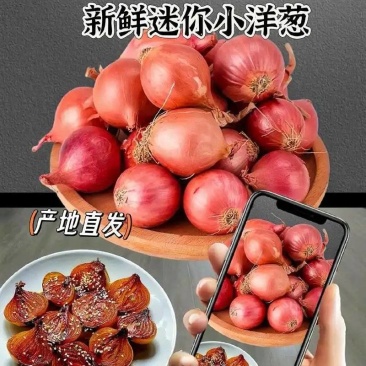 小米葱小毛葱小香葱小洋葱全年有货，欢迎来电