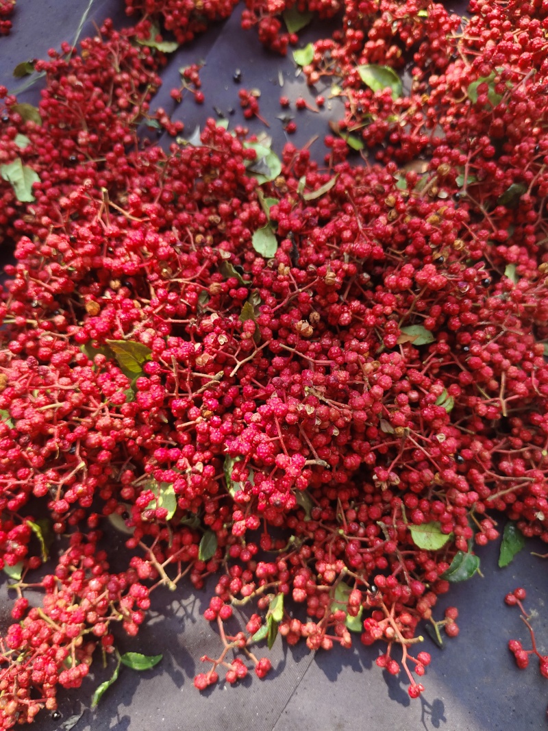 新花椒