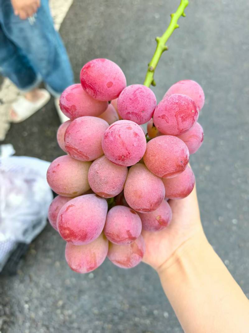 妮娜皇后