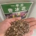 耐寒鲁冰花种子四季播种易活庭院室外花园阳台花卉冬天开花