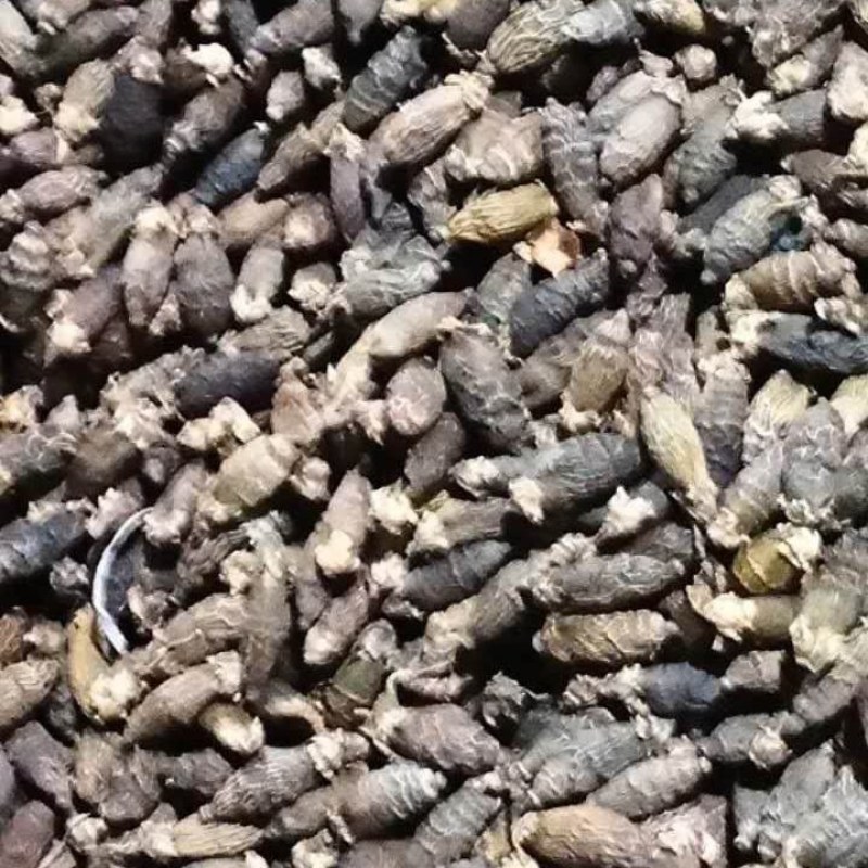 槟榔