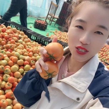 N电商西红柿/山东西红柿/社团拼多多/河马/淘菜菜/
