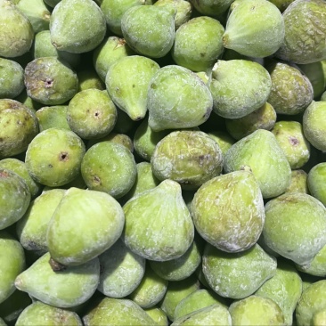 威海荣成青皮无花果大量供应工厂果，罐头原料FD原料等
