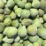 威海荣成青皮无花果大量供应工厂果，罐头原料FD原料等